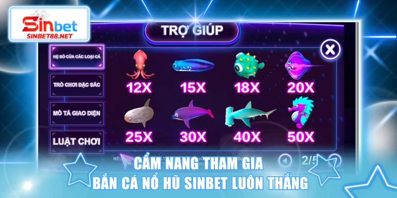 Bí quyết hữu ích giúp hội viên săn thưởng thành công