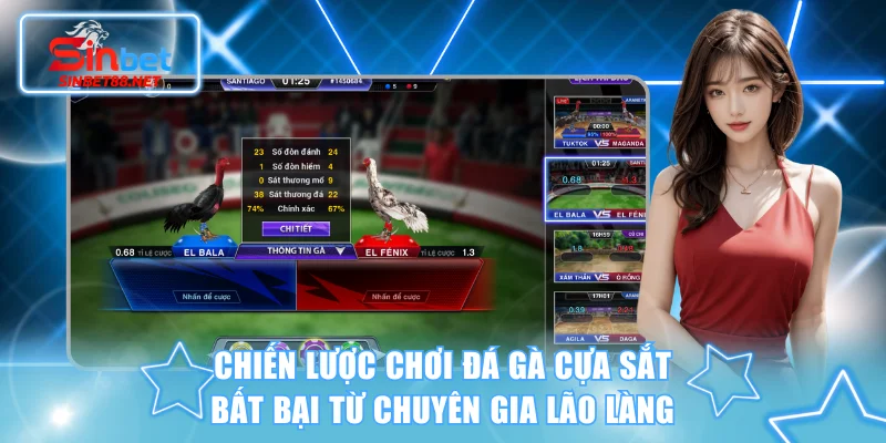 Chiến lược chơi đá gà cựa sắt bất bại từ chuyên gia lão làng