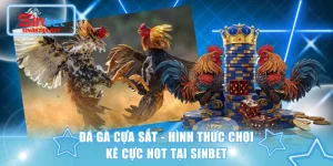 Đá gà cựa sắt