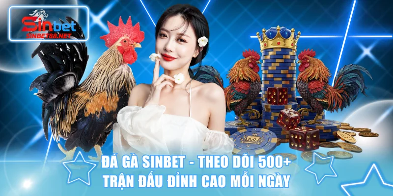 Đá Gà SINBET - Theo Dõi 500+ Trận Đấu Đỉnh Cao Mỗi Ngày
