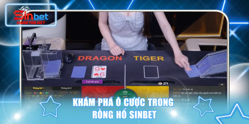 Khám phá ô cược trong Rồng Hổ SINBET
