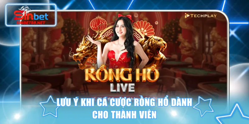 Lưu ý khi cá cược Rồng Hổ dành cho thành viên