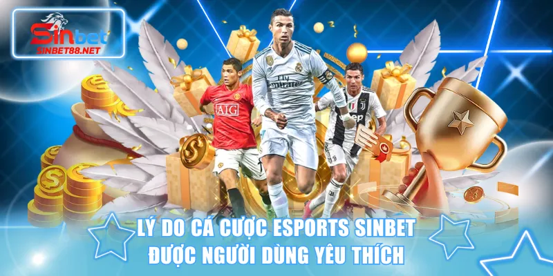 Lý do cá cược Esports SINBET được người dùng yêu thích