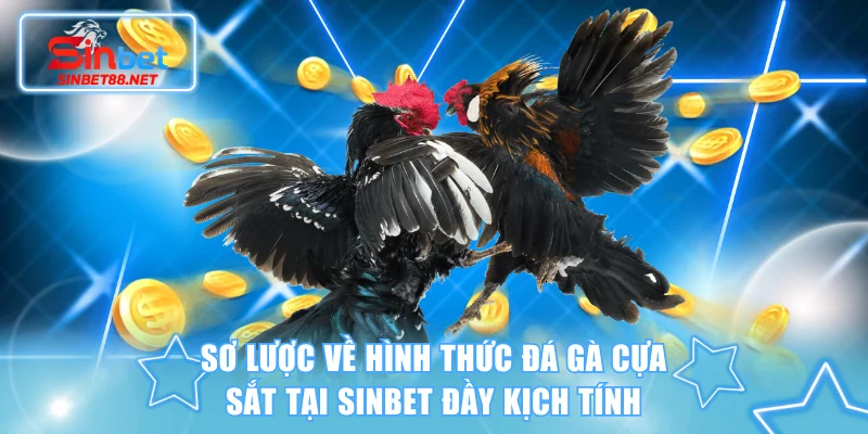 Sơ lược về hình thức đá gà cựa sắt tại SINBET đầy kịch tính